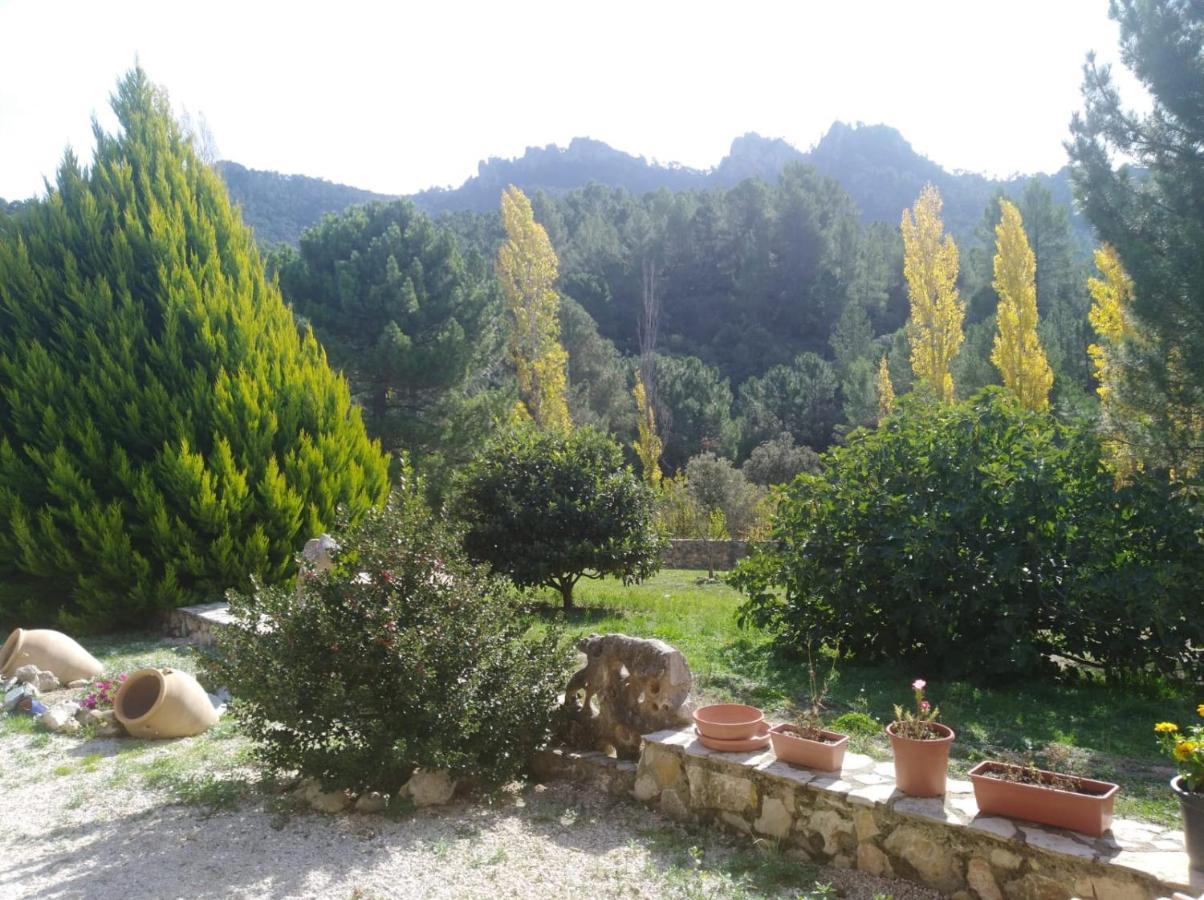 Cortijo Del Cuco Villa Riópar Exteriör bild